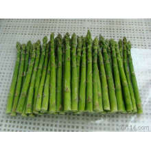 IQF asparagus